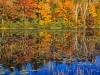 Fall color, upstate New York.