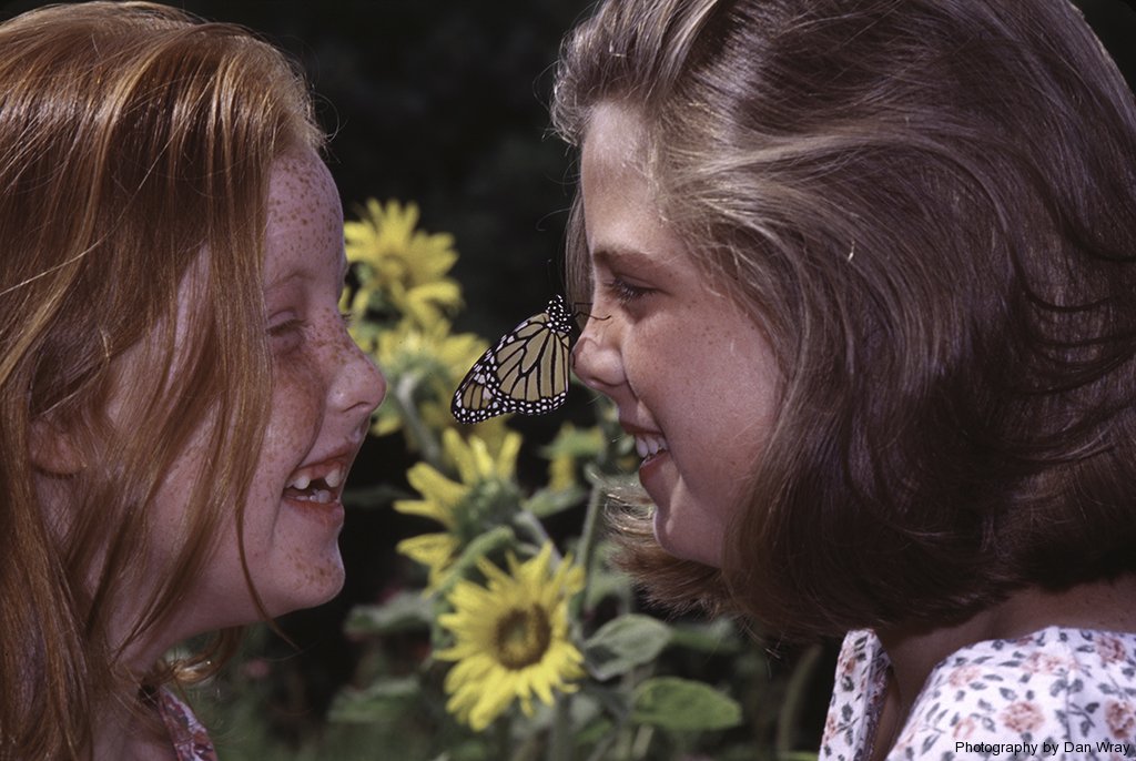 Sisters (8 & 11) face-to-face with Monarch Butterfly.Model released.
