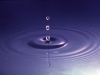 Water droplets and radiating waves.