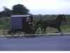 Amish horse-drawn carriage travelling rapidly along paved road in Pennsylvania.