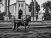 The Roman Catholic Church in the center of Atenas, Costa Rica, with a horseman (gaucho) riding past.