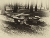 Stone benches and table in Stanback Park, Mt. Gilead, North Carolina.