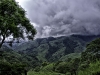 The Cloud Forest region, Monteverde, Costa Rica. There are estimated to be over 4000 plant species in the cloud forest biological sphere. The region is also known for cattle ranching.
