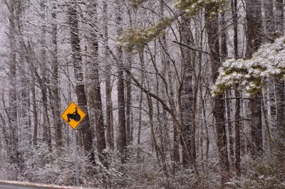 Winter Storm Pax in Montgomery County, North Carolina.
